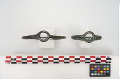Foto von Bronzering (NHMW-PRAE-024572)
